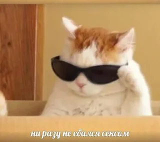 😼 emoji чикибамбони Telegram sticker 15 of 77