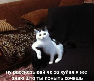 😒 emoji чикибамбони Telegram sticker 19 of 77
