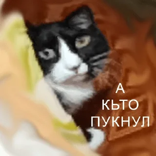 Sticker from чикибамбони