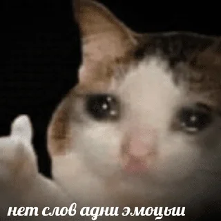 😢 emoji чикибамбони Telegram sticker 14 of 120