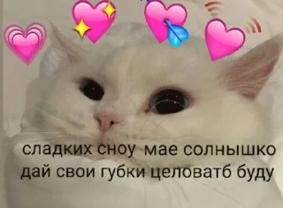 💤 emoji чикибамбони Telegram sticker 17 of 77