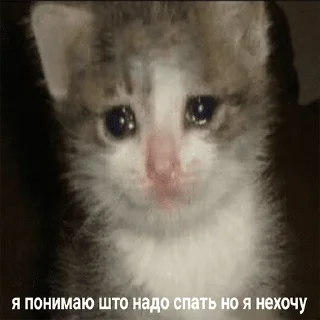 😭 emoji чикибамбони Telegram sticker 15 of 120
