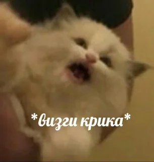 😮 emoji чикибамбони Telegram sticker 21 of 77