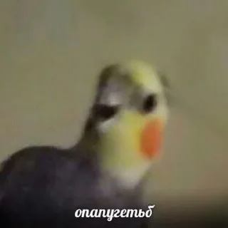😶 emoji чикибамбони Telegram sticker 22 of 77