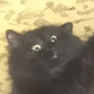 😱 emoji чикибамбони Telegram sticker 10 of 77