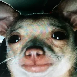 😭 emoji чикибамбони Telegram sticker 16 of 120