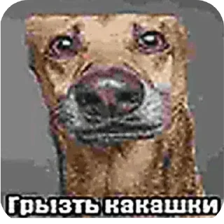 🖼 emoji tumboshka n. empire @TgEmodziBot Telegram sticker 11 of 18