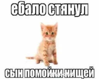 Sticker from муд я по жизни