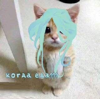 ⭐️ emoji Я педик💥 @Moistick_bot Telegram sticker 23 of 58