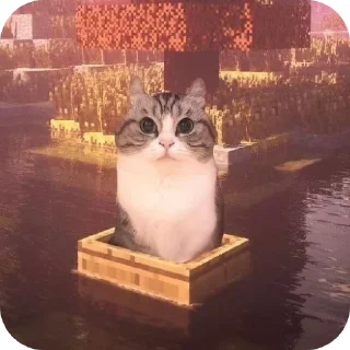 🐱 emoji Хлебушек🤑🤑🤑🥵🥵✨✨✨ Telegram sticker 5 of 22