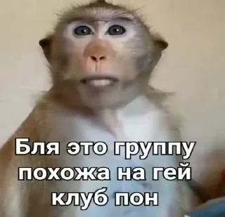 🤩 emoji Хлебушек🤑🤑🤑🥵🥵✨✨✨ Telegram sticker 18 of 22