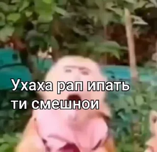 🤩 emoji Хлебушек🤑🤑🤑🥵🥵✨✨✨ Telegram sticker 21 of 22