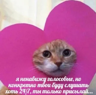 kiskislu sticker 1