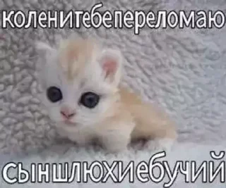 Sticker from БОЛЬШЕ ⇨ @CLOOBHUB МЕМЫ СТИКЕРЫ