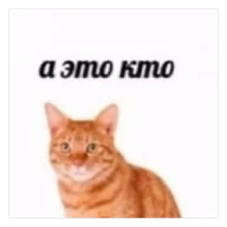 🧐 emoji мяу by @nik0naxx Telegram sticker 14 of 95
