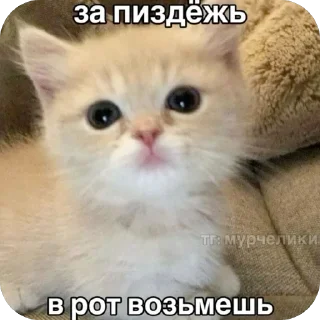 🥰 emoji мяу by @nik0naxx Telegram sticker 5 of 95