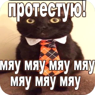 😠 emoji мяу by @nik0naxx Telegram sticker 15 of 95