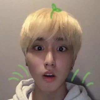 🫢 emoji я люблю бродячих детей Telegram sticker 17 of 120