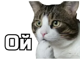 😂 emoji коты Telegram sticker 24 of 62