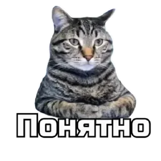 🫤 emoji коты Telegram sticker 12 of 62