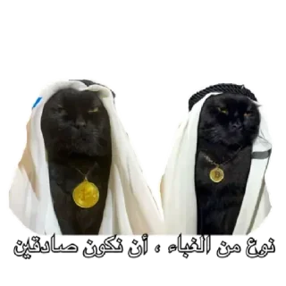 😶‍🌫️ emoji коты Telegram sticker 15 of 62
