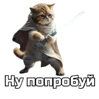 😚 emoji коты Telegram sticker 18 of 62