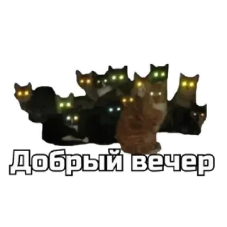 👋 emoji коты Telegram sticker 7 of 62