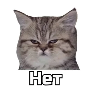 😡 emoji коты Telegram sticker 21 of 62
