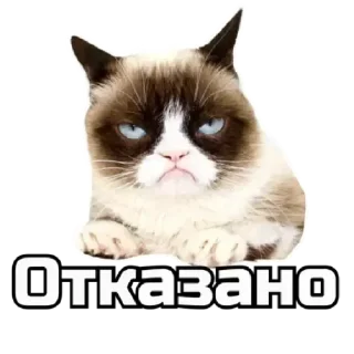 😠 emoji коты Telegram sticker 22 of 62
