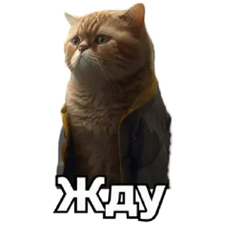 😌 emoji коты Telegram sticker 23 of 62