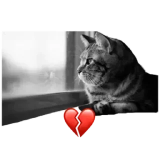 💔 emoji коты Telegram sticker 5 of 62
