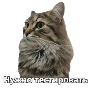 😄 emoji коты Telegram sticker 16 of 62