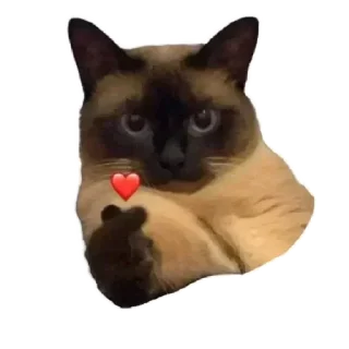 ❤️ emoji коты Telegram sticker 4 of 62