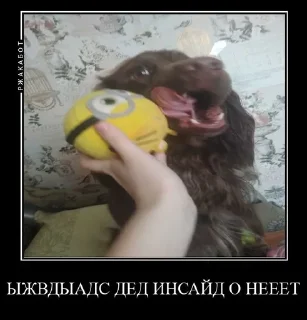 😰 emoji Залупа ккя-тт Telegram sticker 4 of 37