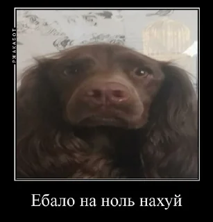 🤬 emoji Залупа ккя-тт Telegram sticker 9 of 37