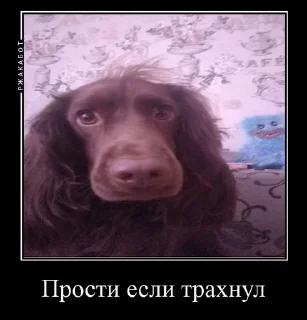 😔 emoji Залупа ккя-тт Telegram sticker 18 of 37