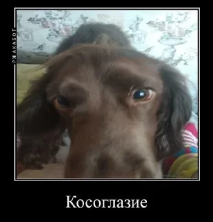 😔 emoji Залупа ккя-тт Telegram sticker 14 of 37