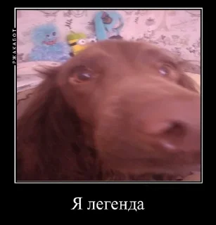 🙄 emoji Залупа ккя-тт Telegram sticker 19 of 37