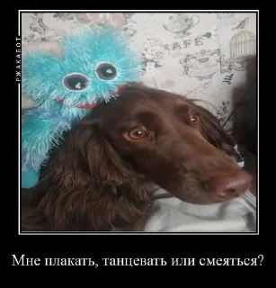 🧐 emoji Залупа ккя-тт Telegram sticker 24 of 37