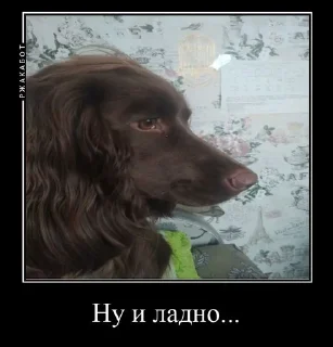 😭 emoji Залупа ккя-тт Telegram sticker 5 of 37