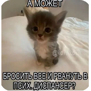 Sticker from бобик