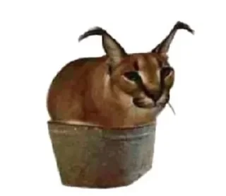 Sticker from Стыкеры ад Мікіты #1