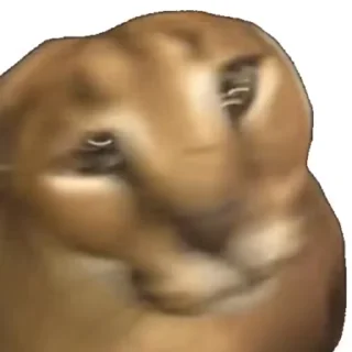 🤪 emoji Официальные стикеры Микиты Telegram sticker 19 of 37
