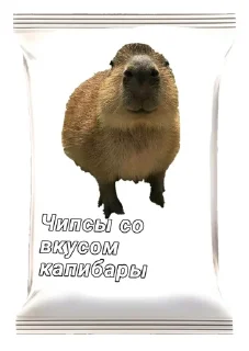 🥵 emoji Чипсеки Telegram sticker 6 of 7