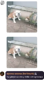 Sticker from какие то палитры pack by @QuotLyBot