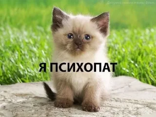 Sticker from стики от акиро, всем юзать😼😼