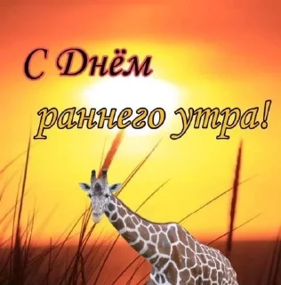 Sticker from стики от акиро, всем юзать😼😼