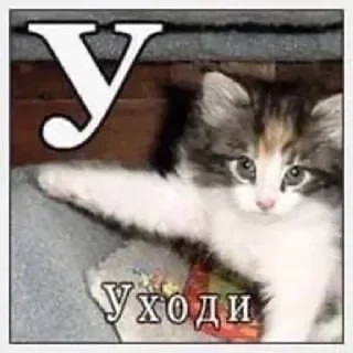 Sticker from Больше стиков тут: @stickery_stickers