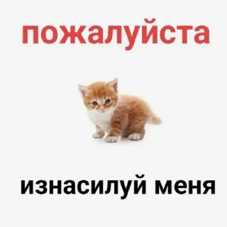 Sticker from Больше стиков тут: @stickery_stickers