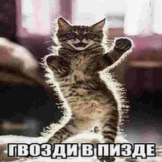 Sticker from Больше стиков тут: @stickery_stickers